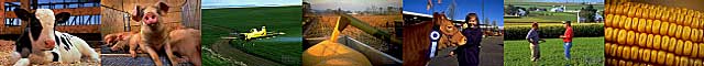 Agriculture Images