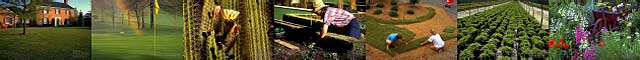 Horticulture Images
